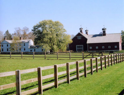 Farm 5