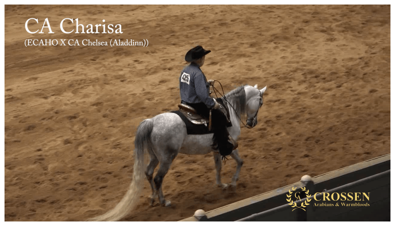 CA Charisa