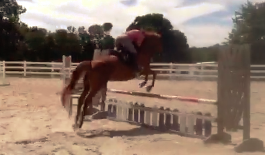 London Belle Jumping